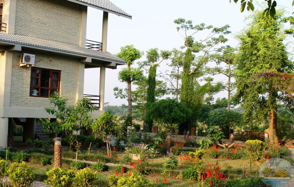 River View Jungle Camp Sauraha Kültér fotó