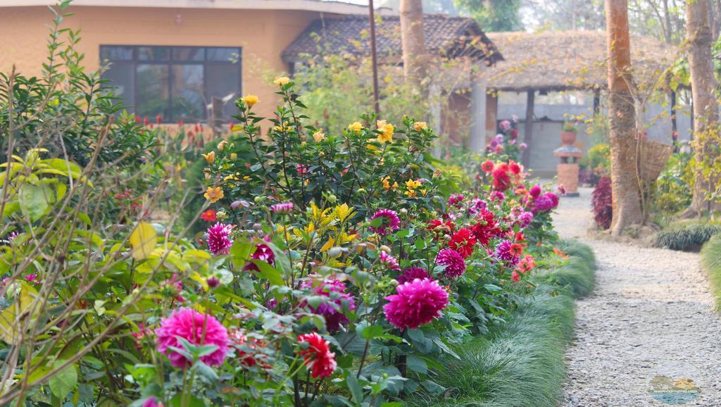 River View Jungle Camp Sauraha Kültér fotó