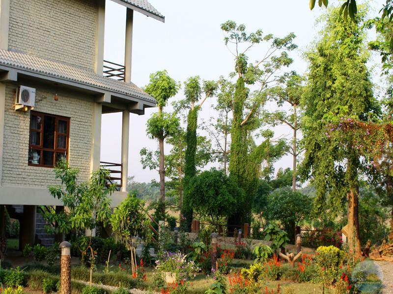 River View Jungle Camp Sauraha Kültér fotó