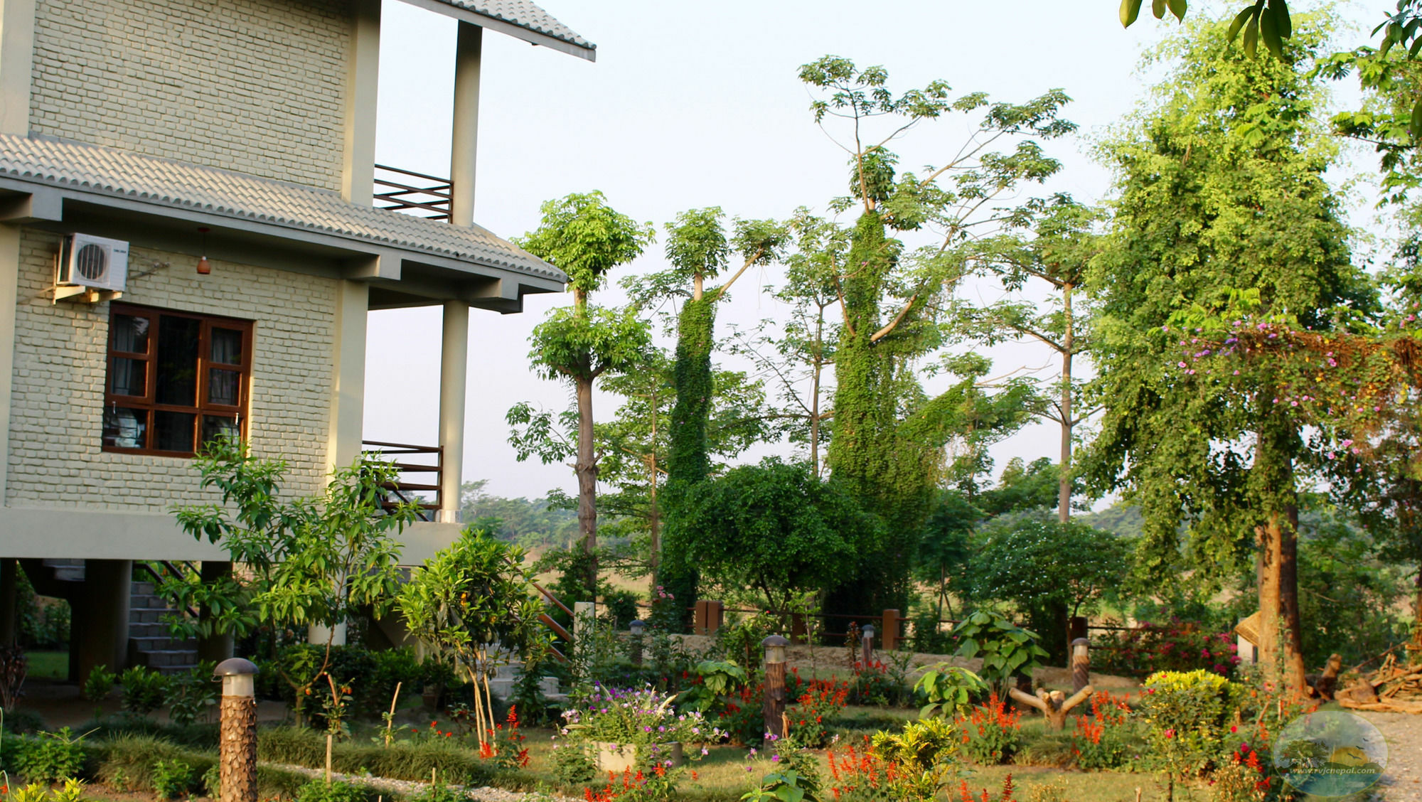 River View Jungle Camp Sauraha Kültér fotó
