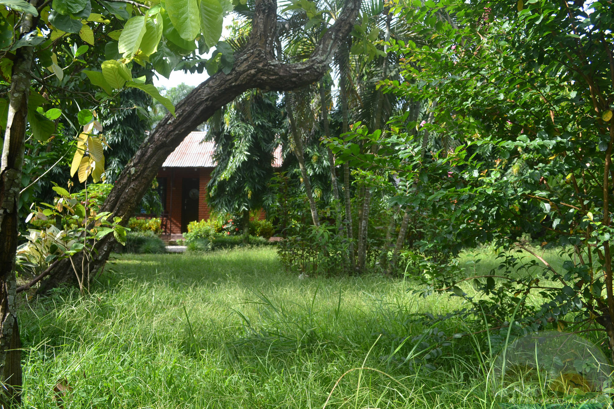 River View Jungle Camp Sauraha Kültér fotó