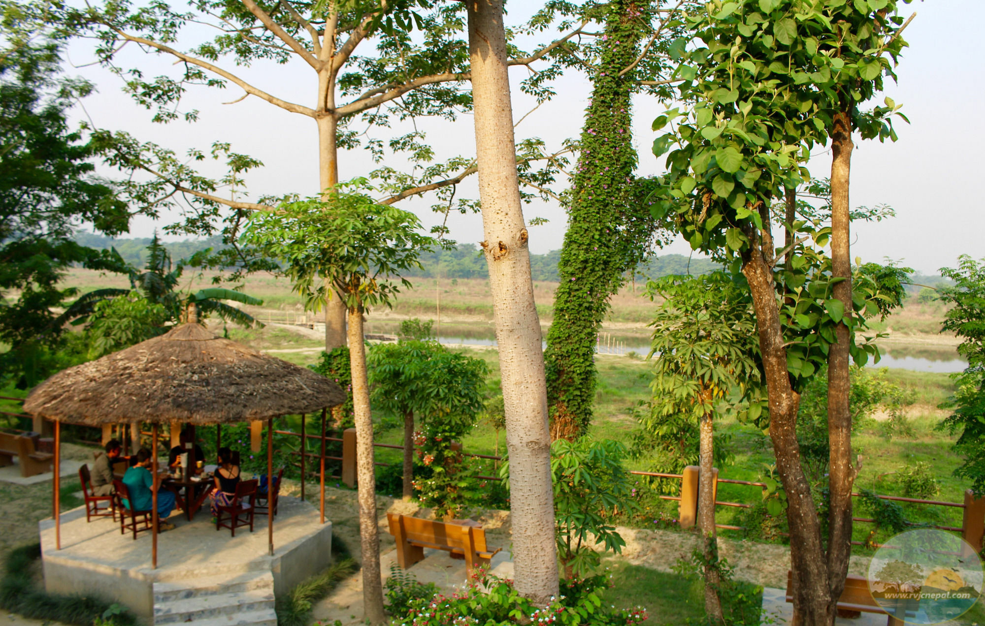 River View Jungle Camp Sauraha Kültér fotó